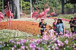 BIB: 
                            <button type="button" onclick="openModal(27794118)" class="btn btn-primary btn-sm float-right btn-popup" data-toggle="modal" data-target=".modal-high-quality">
                        <i class="fas fa-shopping-cart"></i> Add to Cart
                    </button>
                                            <button type="button" onclick="isThisMe(27794118, true)" class="btn btn-success btn-sm float-right btn-popup btn-isme hidden" data-toggle="tooltip" data-placement="bottom" title="นี่คือรูปของคุณใช่ไหม คลิกที่นี่เพื่อเอาเข้าอัลบั้ม">
                        <i class="fas fa-plus"></i> Add to album
                    </button>
                    <button type="button" onclick="isThisMe(27794118, false)" class="btn btn-warning btn-sm float-right btn-popup btn-isnotme hidden">
                        <i class="fas fa-ban"></i> Remove from album
                    </button>